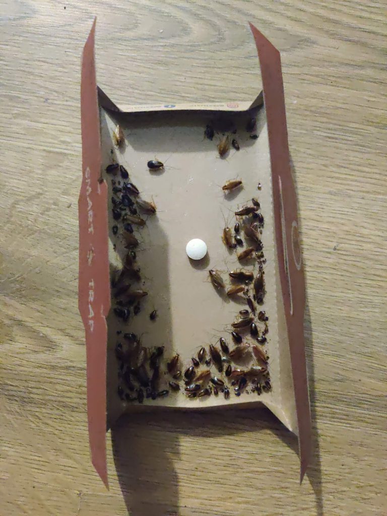 Pestmatic Smart Cockroach Trap