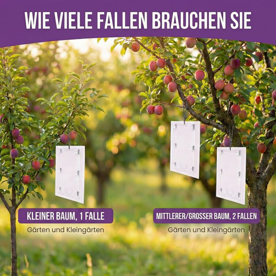 Pflaumenwickler-Falle × 3 – 7