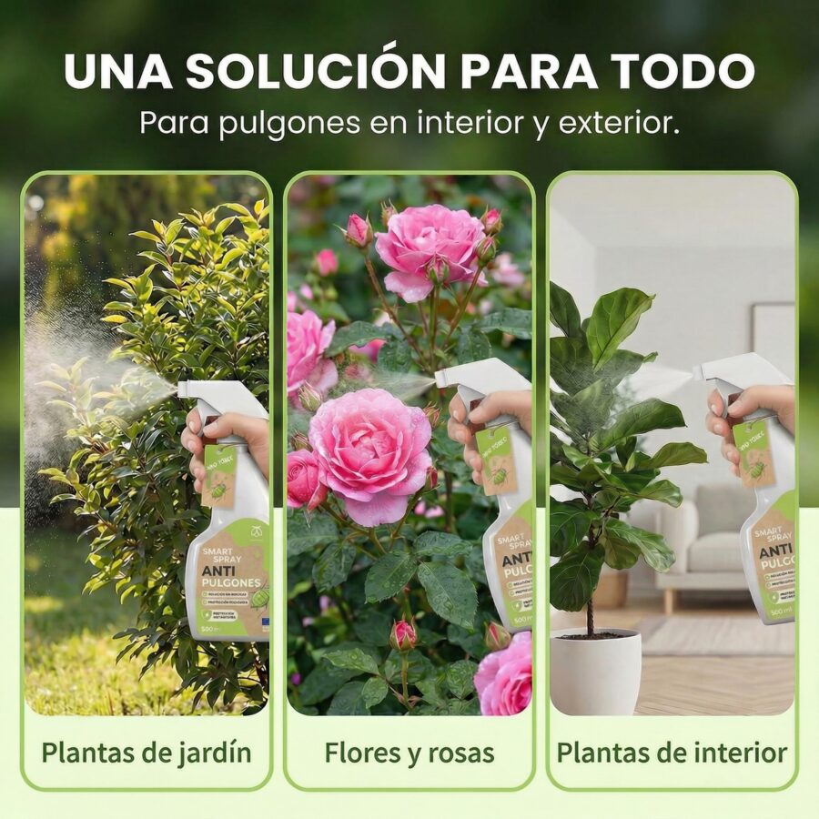 Spray Anti Pulgones 500 ml – 7