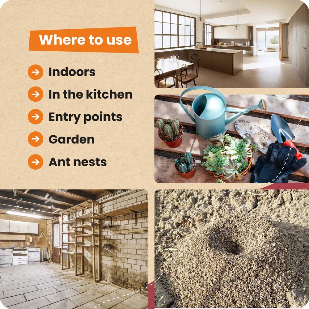4 ThePestmatic.com - Smart Spray Ants Away!