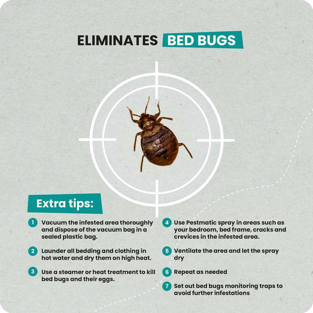 ThePestmatic.com - Smart Spray BEDBUGS Away!