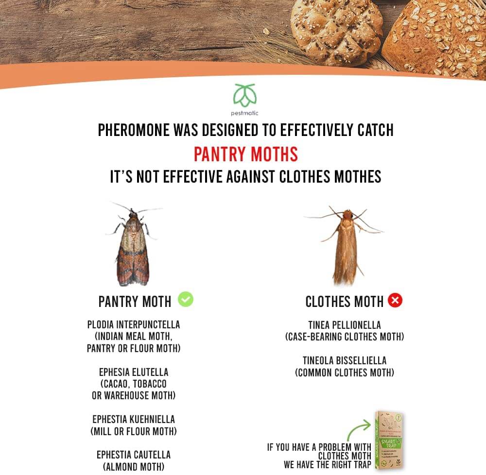 Pantry and Food Moth Traps Pestmatic