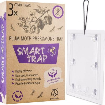 Pestmatic Plum Moth Trap, plum moth traps for fruit trees