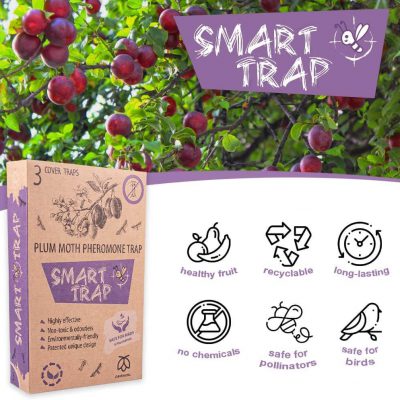 Pestmatic Plum Moth Trap
