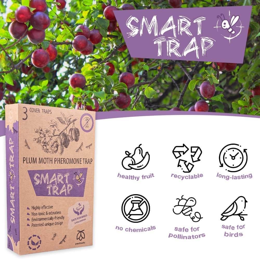 Pestmatic Plum Moth Trap