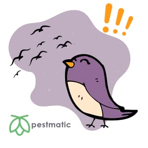 Pestmatic Plum Moth Trap