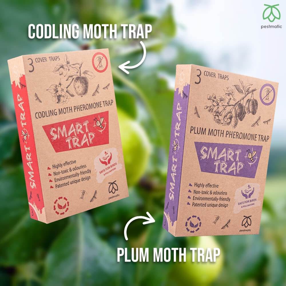 Pestmatic Plum Moth Trap