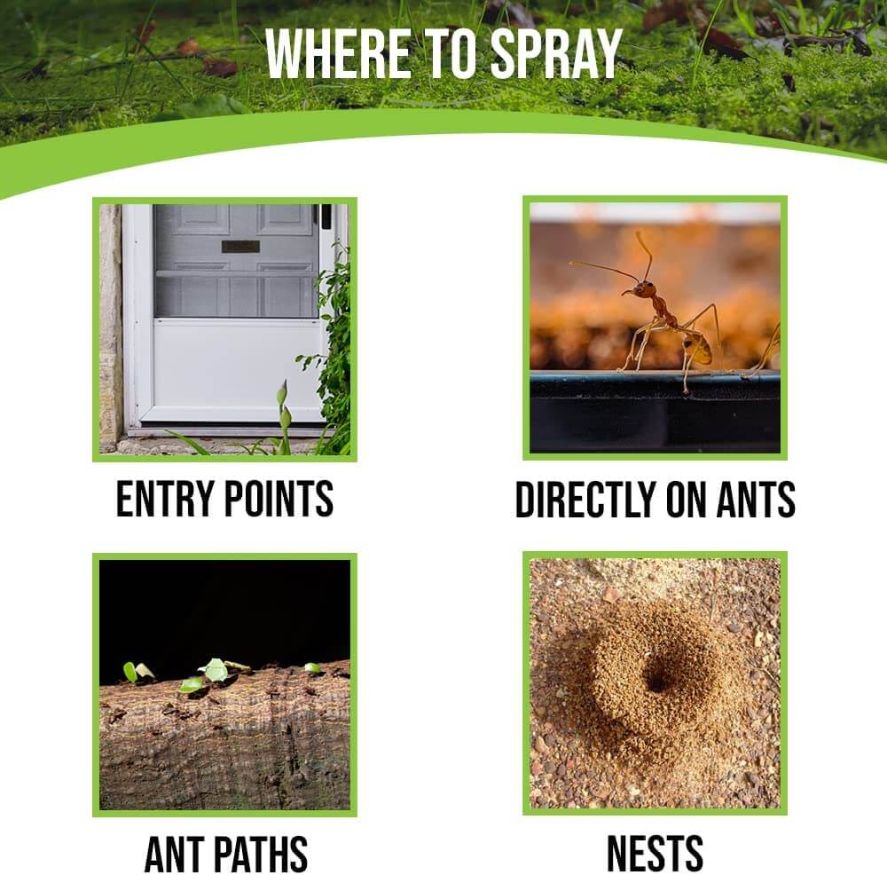 Pestmatic Smart Spray Ants Away