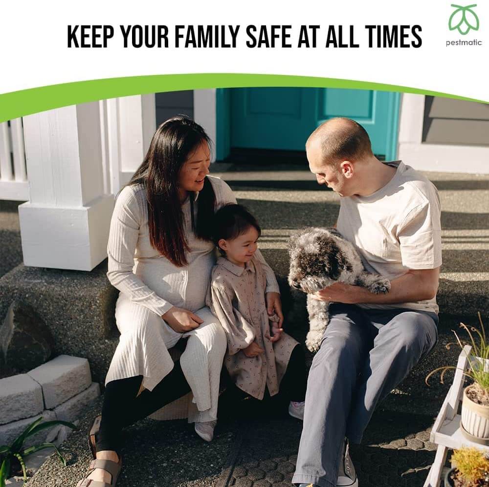 Pestmatic Smart Spray Ants Away